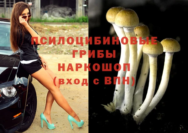 бошки Армянск
