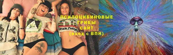 спиды Арсеньев