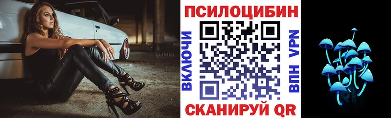 наркота  Белая Холуница  Псилоцибиновые грибы Magic Shrooms 